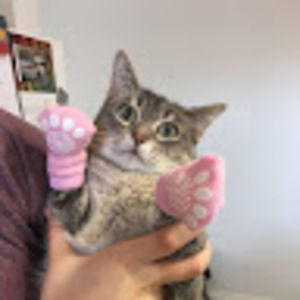 Meet your Posher, Emilie